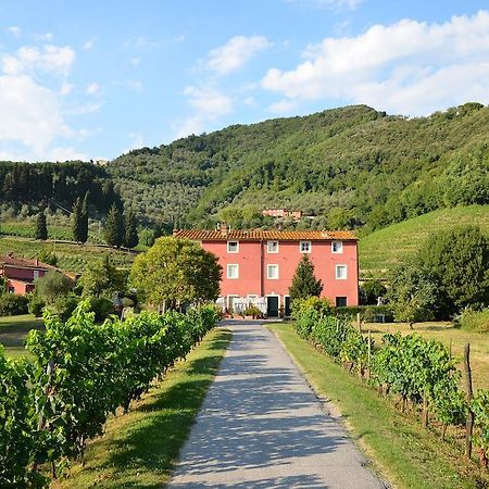 Agriturismo Le Murelle Lucca Exterior foto
